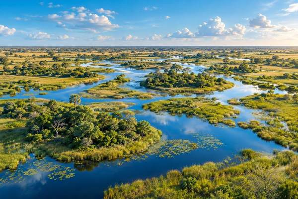 Illustration of Botswana