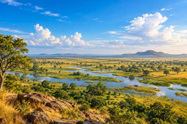 Illustration of South Sudan