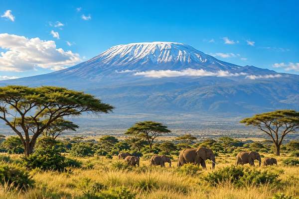 Illustration of Tanzania